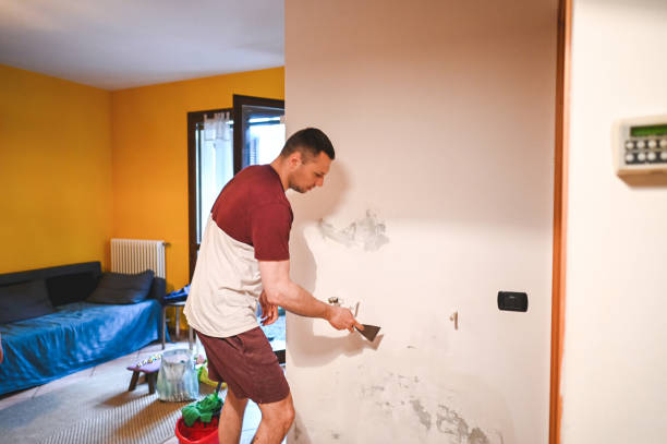 Best Localized Mold Remediation (e.g., coastal areas, humid climates) in Norlina, NC